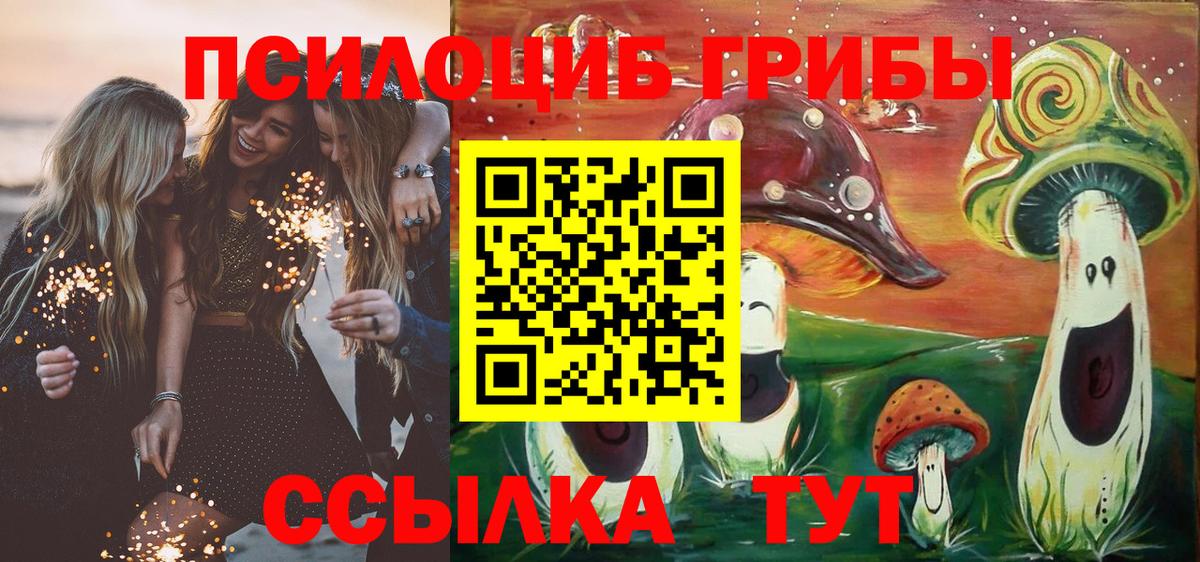 Псилоцибиновые грибы Cubensis Верхняя Пышма